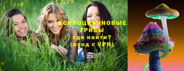 прущий лед Абаза